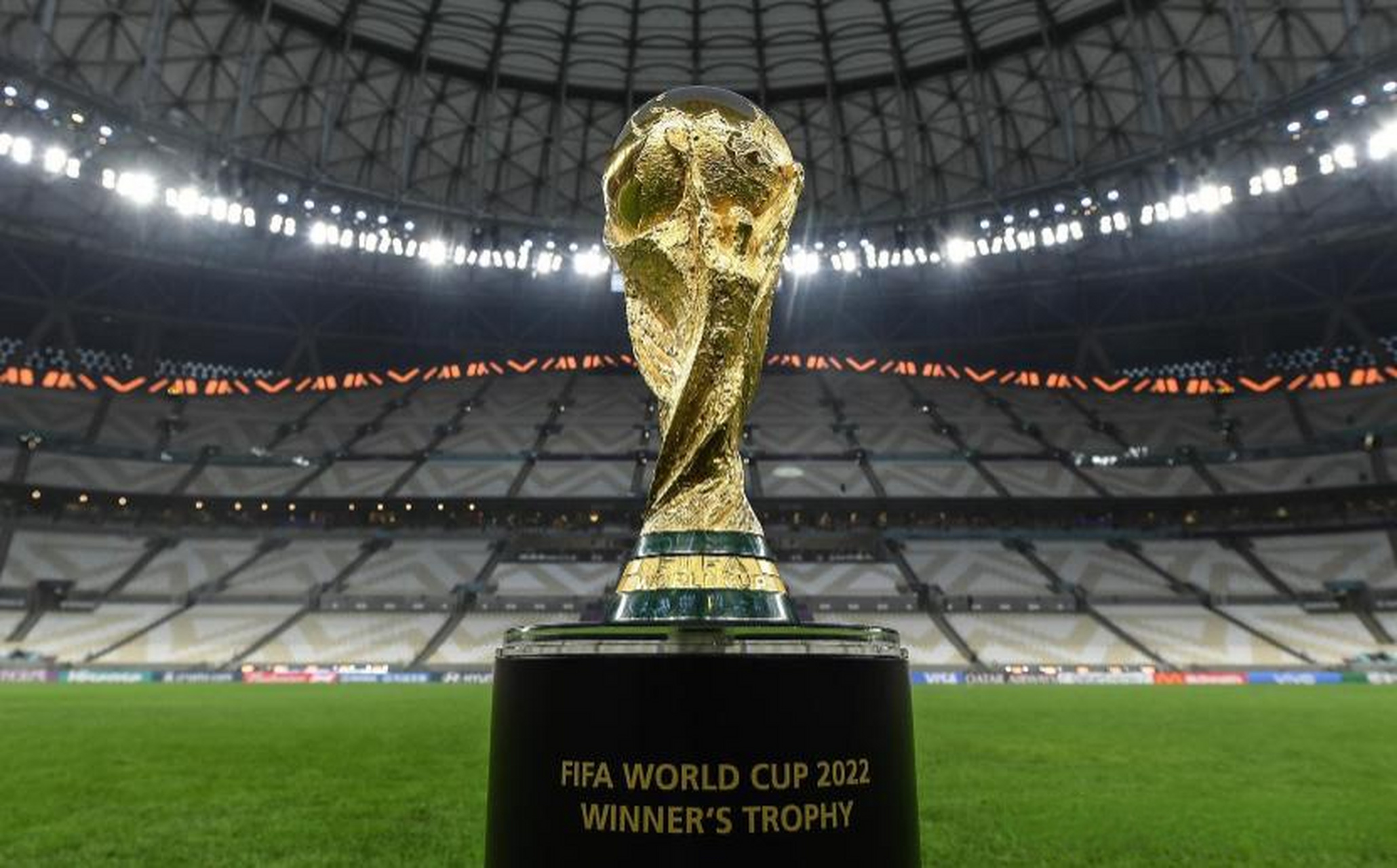 欣喜地看到 欣喜地看到