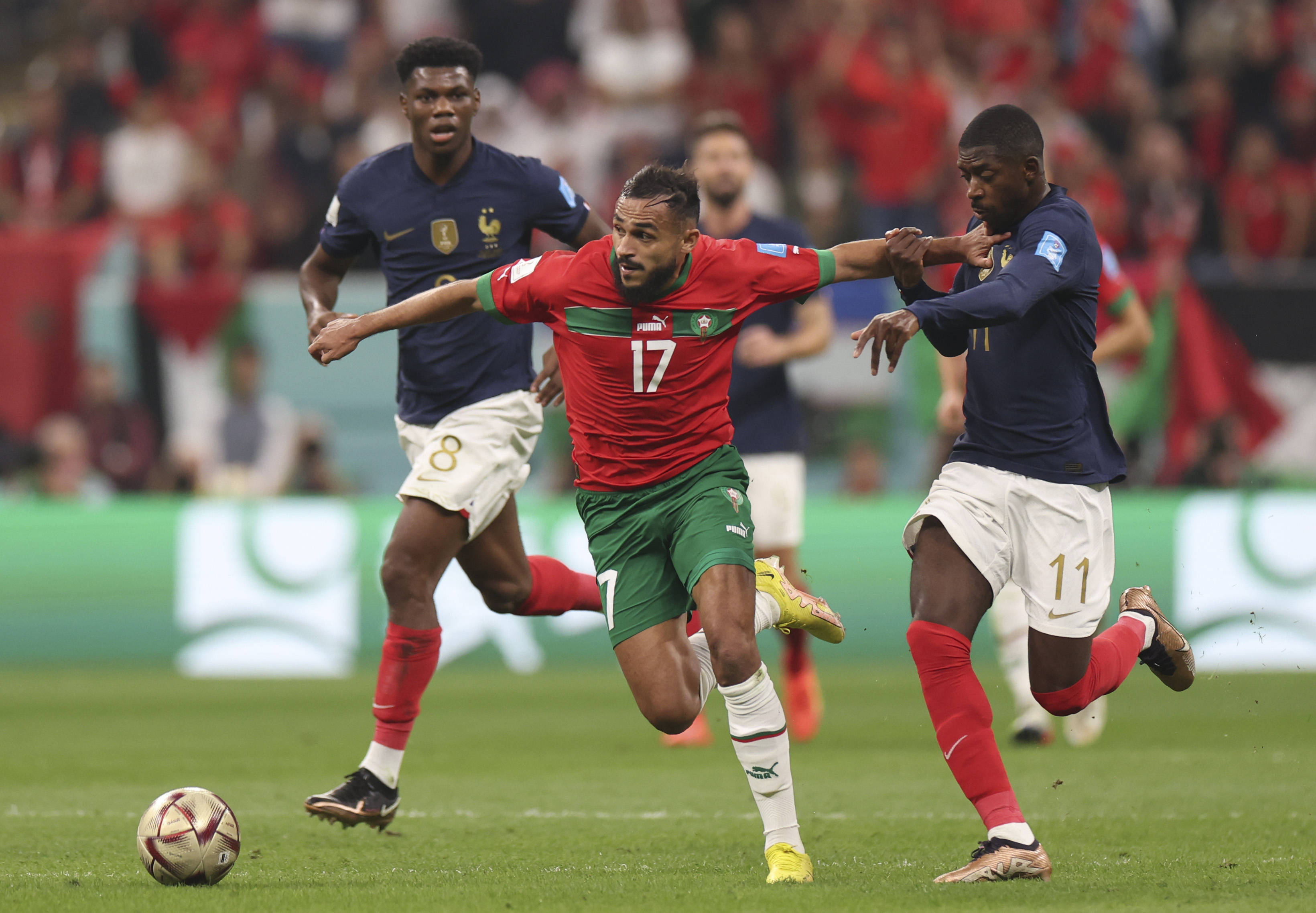 在合约尘埃 在合约尘埃